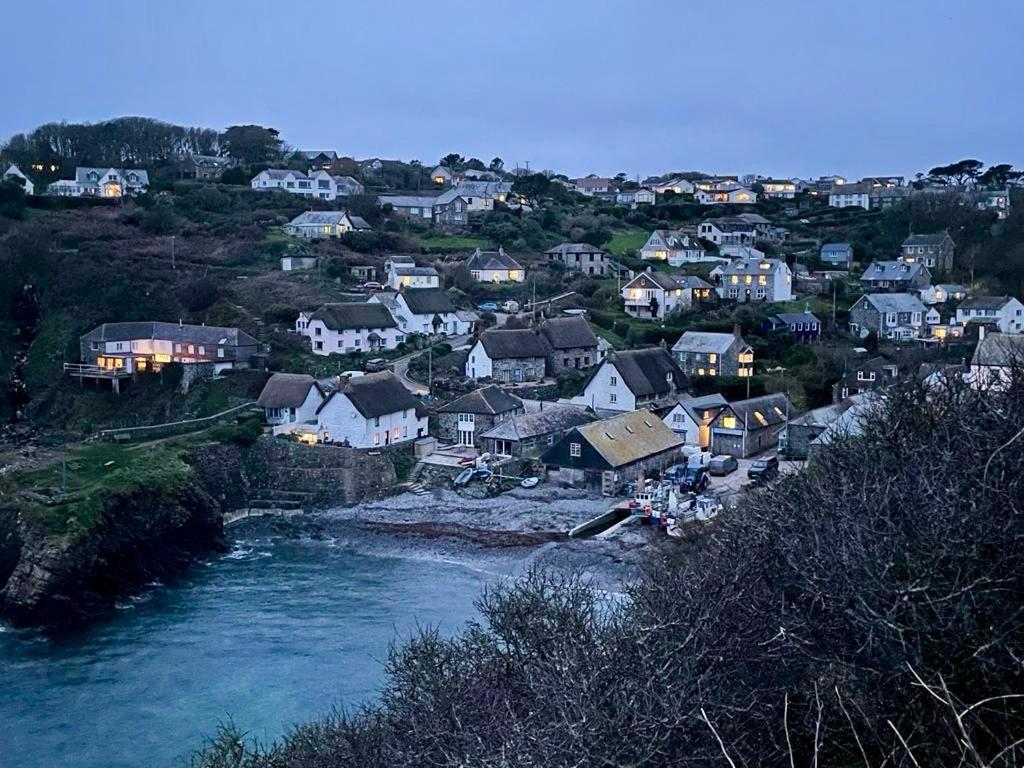 Cadgwith Cove Inn 外观 照片