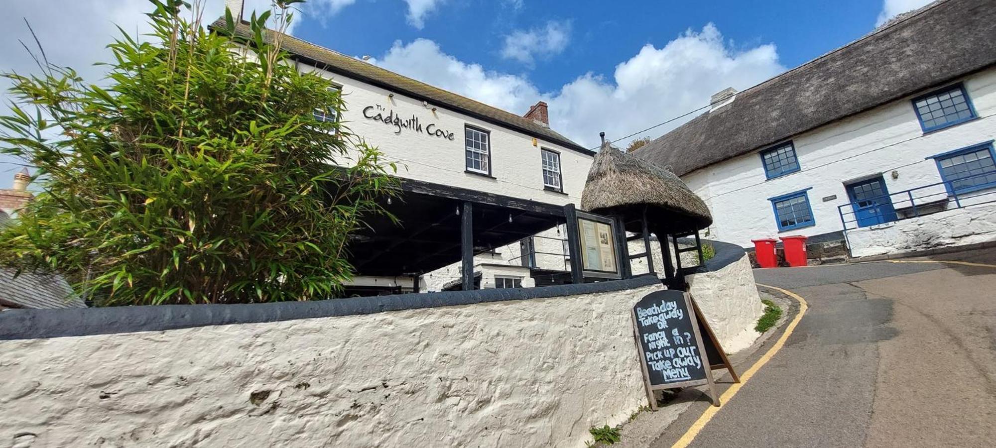 Cadgwith Cove Inn 外观 照片