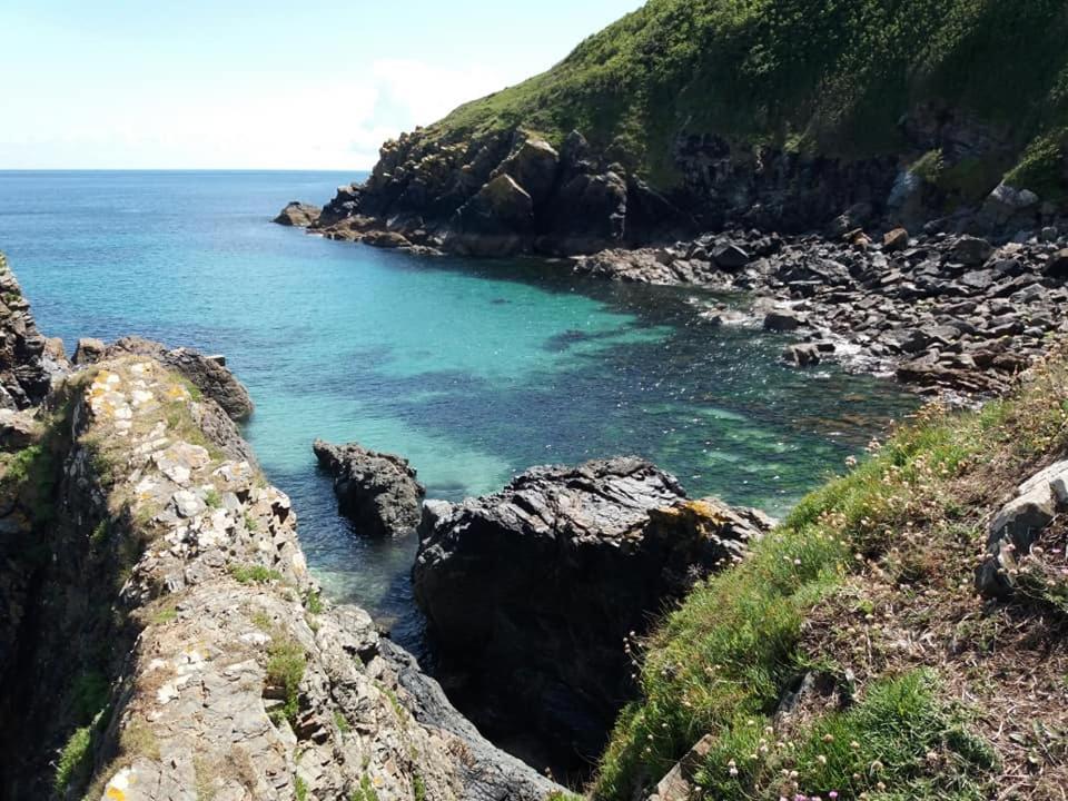 Cadgwith Cove Inn 外观 照片